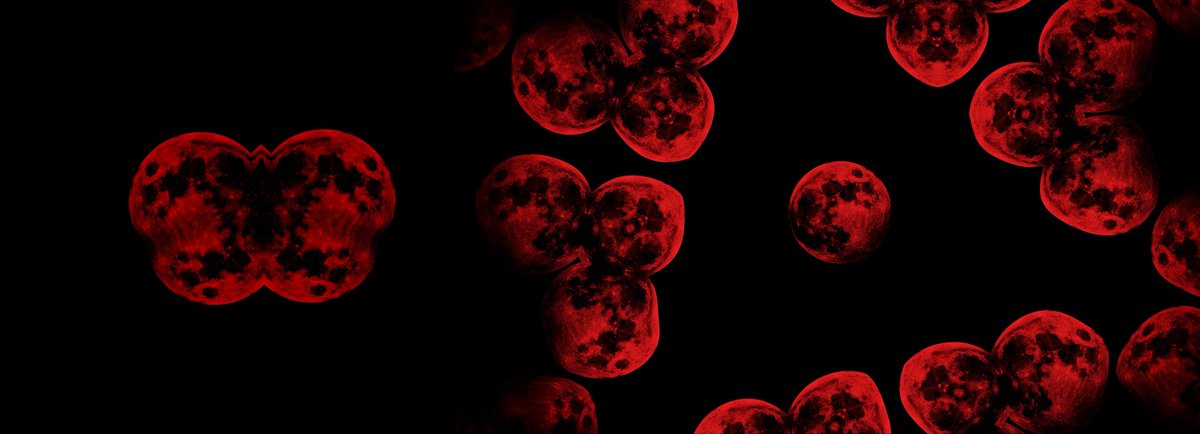 Stephen_T_art's tweet photo. ‘Luna Mitosis’ a part of the ‘Omniscience’ digital series.

#nft #NFT #NFTs #nftcollector #nftart #NFTartists #digitalart #cryptoart https://t.co/hmJkSrLtwx