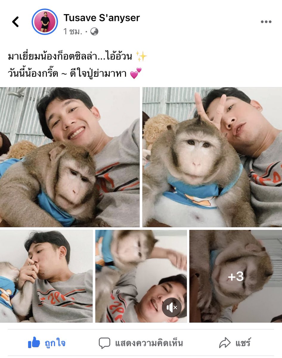 แจนออนนี่ | 💜🦊🍓 tweet media