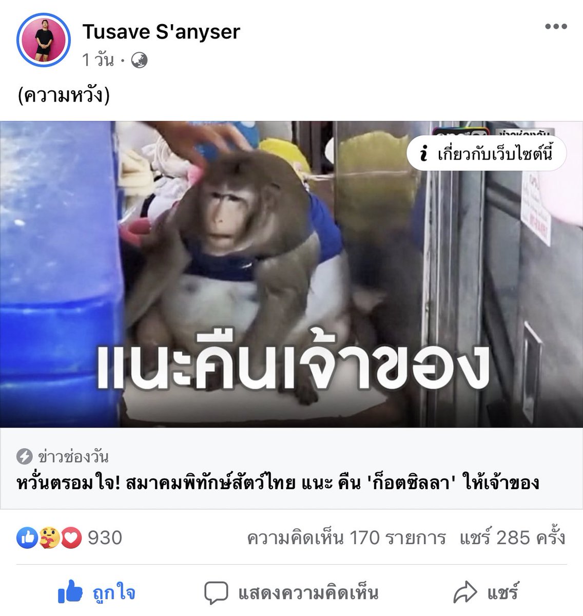 แจนออนนี่ | 💜🦊🍓 tweet media