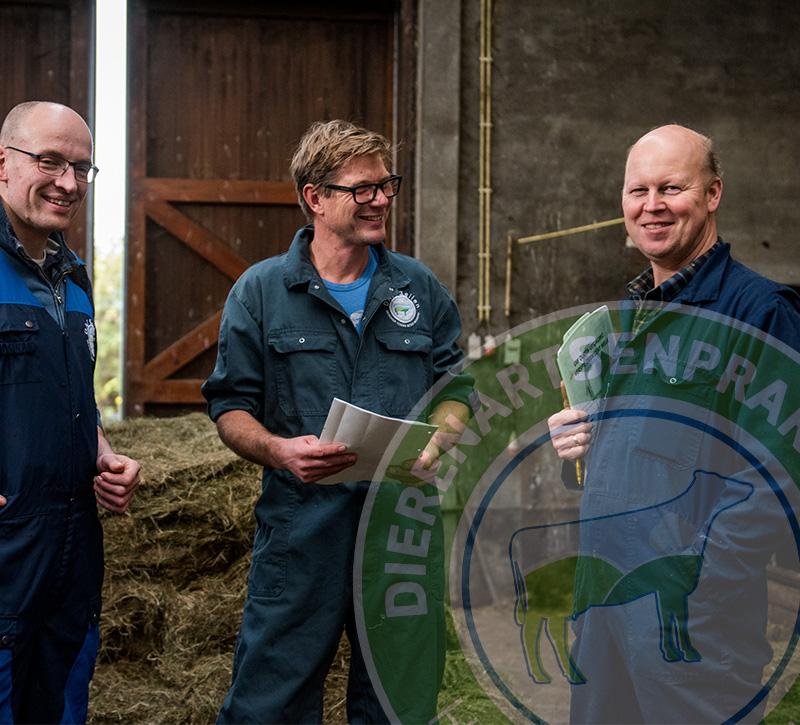 bs_connect's tweet photo. Koeien, schapen, alpaca's, geiten en paarden... je raadt het al,  een nieuwe website voor de nieuwe Dierenartsenpraktijk het Drentse Hart! @dapbeilen 

https://t.co/jxLC0oamqG https://t.co/xsw4UBwGax
