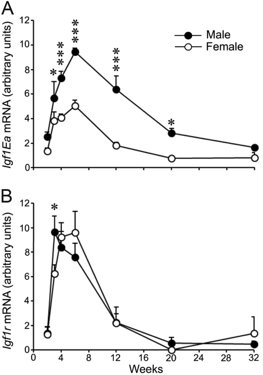 JEndocrinology's tweet photo. ‘IGF1 does not overcome sexual dimorphism of body and muscle size in Mstn−/− mice’ is the findings from the latest study by Ryan Paul et al.
  
 @Soc_Endo https://t.co/SMOFsQA5Rc https://t.co/DheJnTJtvC