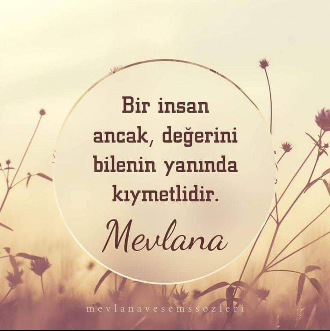beruhaden's tweet photo. https://t.co/5KLwCm2Hzl