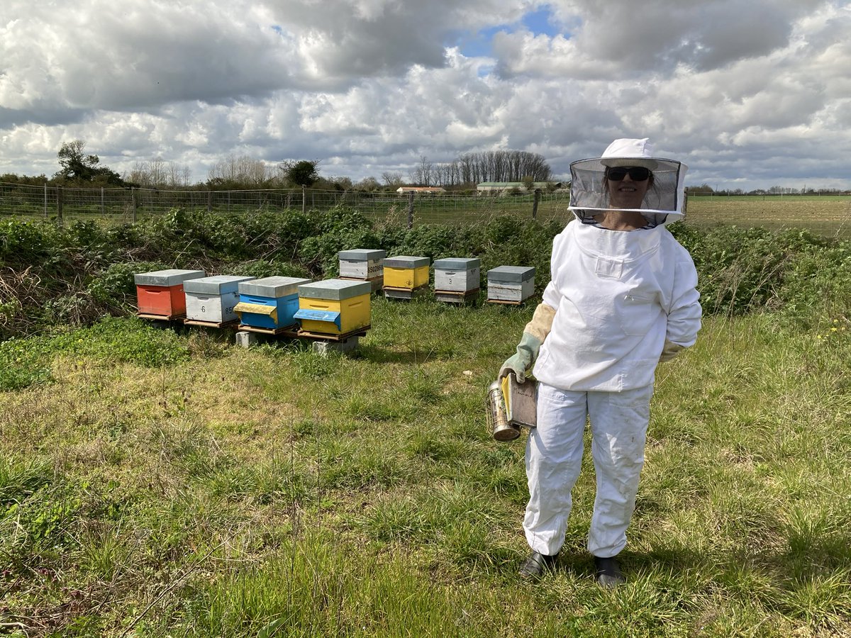 Être #agricultrice aujourd’hui, pour moi, c’est adopter plusieurs casquettes : éleveuse et productrice d’œufs de conso, être communicante et filmer beaucoup (aux poules et aux abeilles), préparer des interventions pour d’autres agris sur la #communication #positive