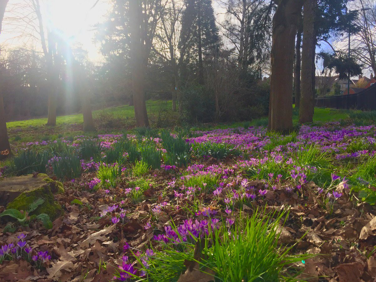 GetOutKids's tweet photo. Lovely colours on our local green space walk......just makes you smile :-)
#mondaymotivation #GetOutsideInside #staylocal #shropshire #shrewsbury @OSleisure https://t.co/NMMXJEoVcX