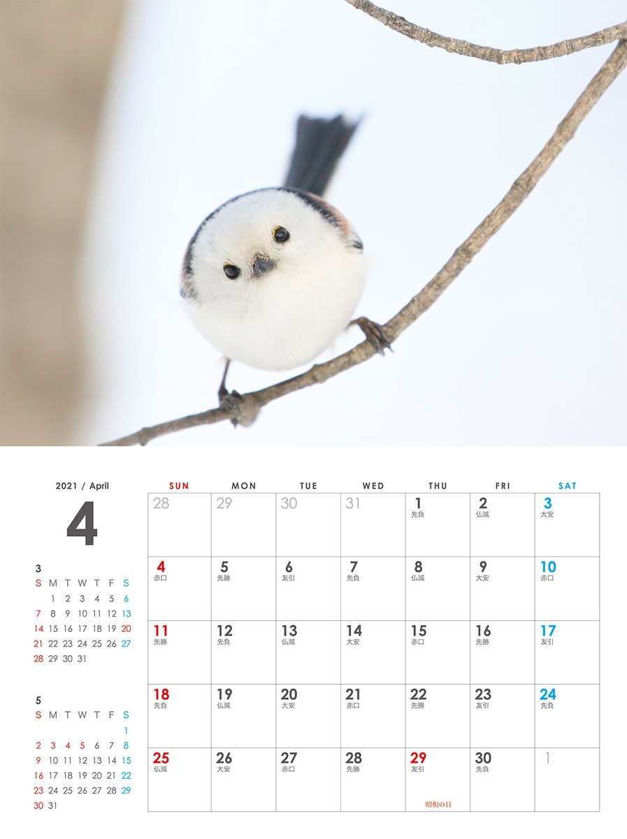ぼく シマエナガ على تويتر ４月のシマエナガ 21壁掛け カレンダーa4 使用時 横297mm 縦4mm T Co E0budjd2ah