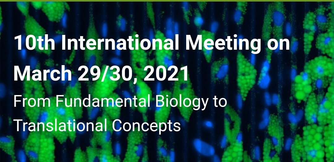 uricell1's tweet photo. Attending the 10th @StemCellsNRW International Virtual Meeting. https://t.co/gOAwUnpUzq