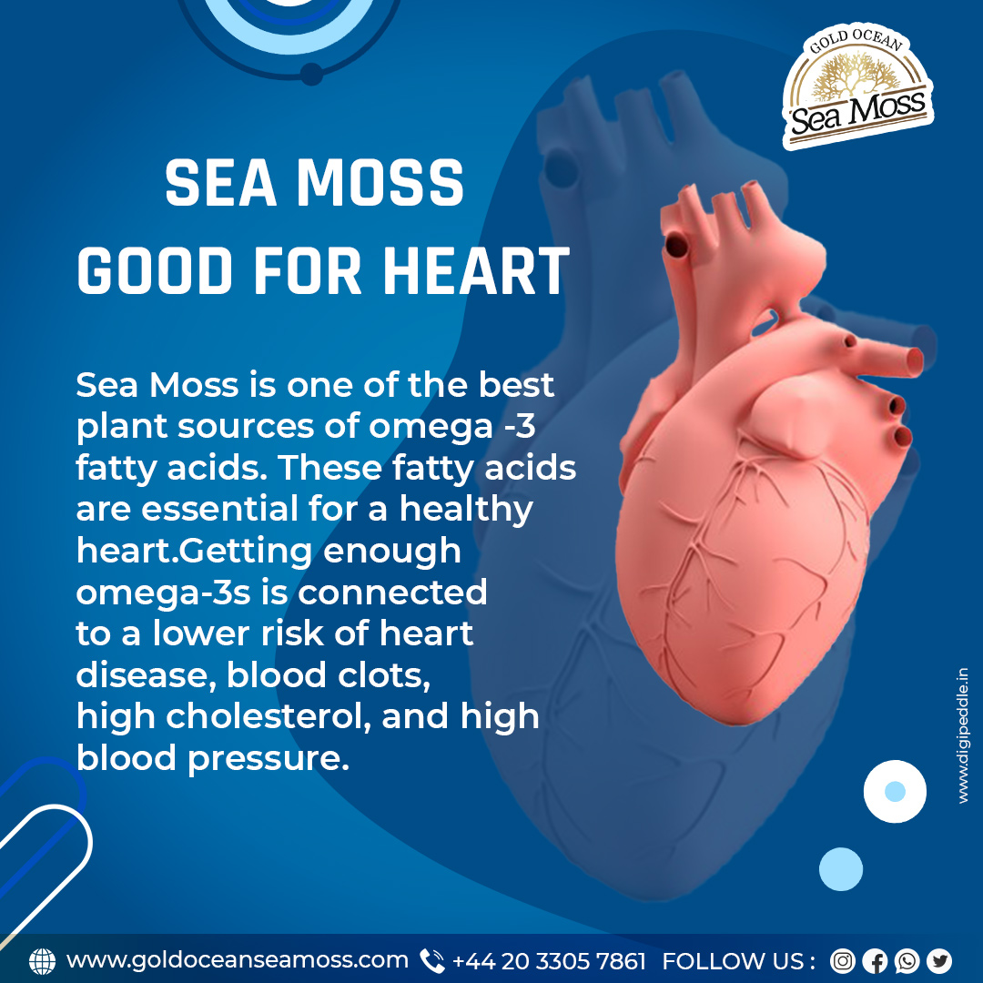 Does Sea Moss Help Lower Blood Pressure: The Ultimate Guide