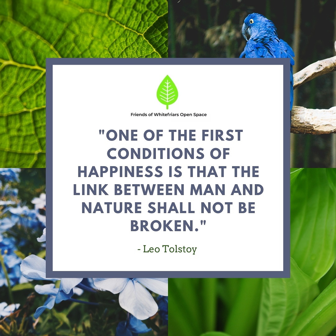 Friends of Whitefriars Open Space tweet media