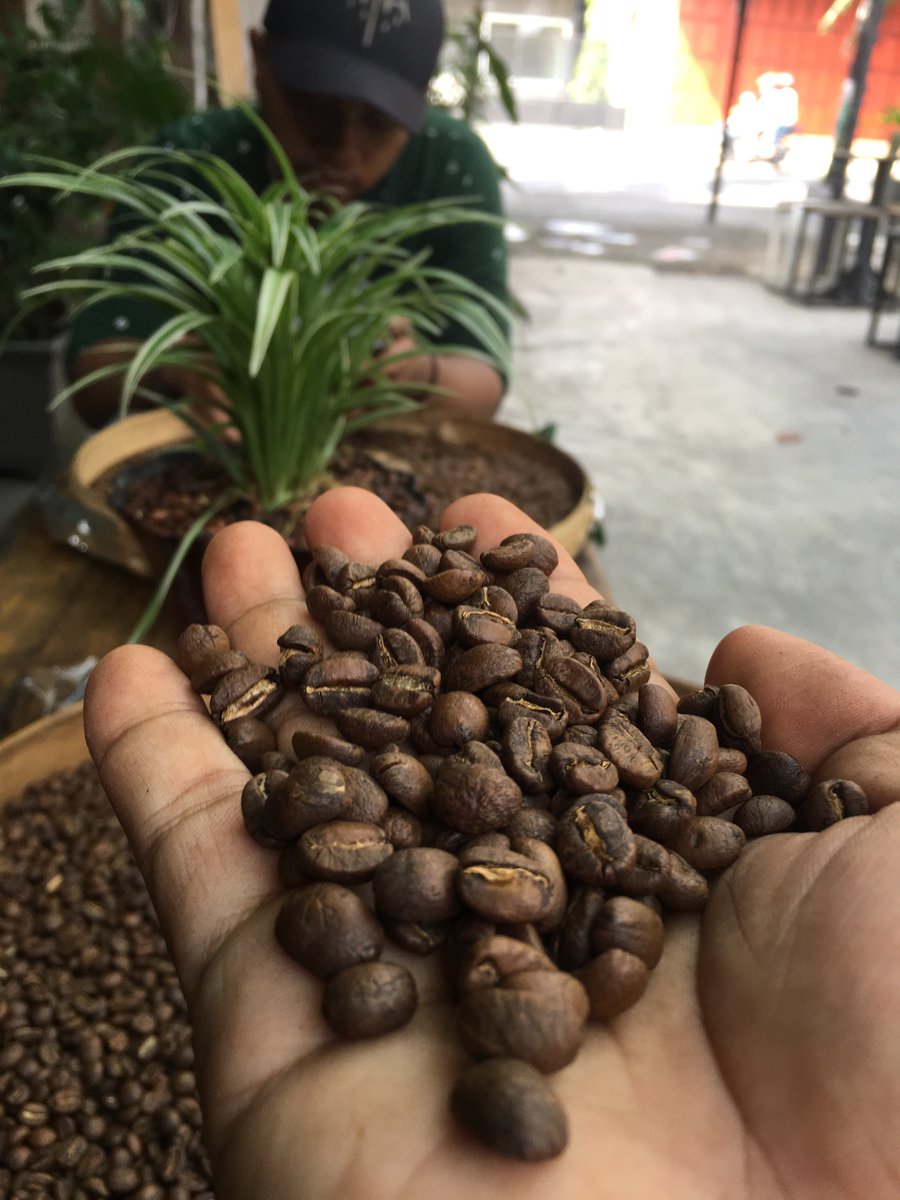 orderbibit's tweet photo. @lapak kopi bangil 
Hari ini kita belajar lagi tentang roasting kopi di lapak kopi bangil langsung dengan ownernya https://t.co/9U6jImVfPa