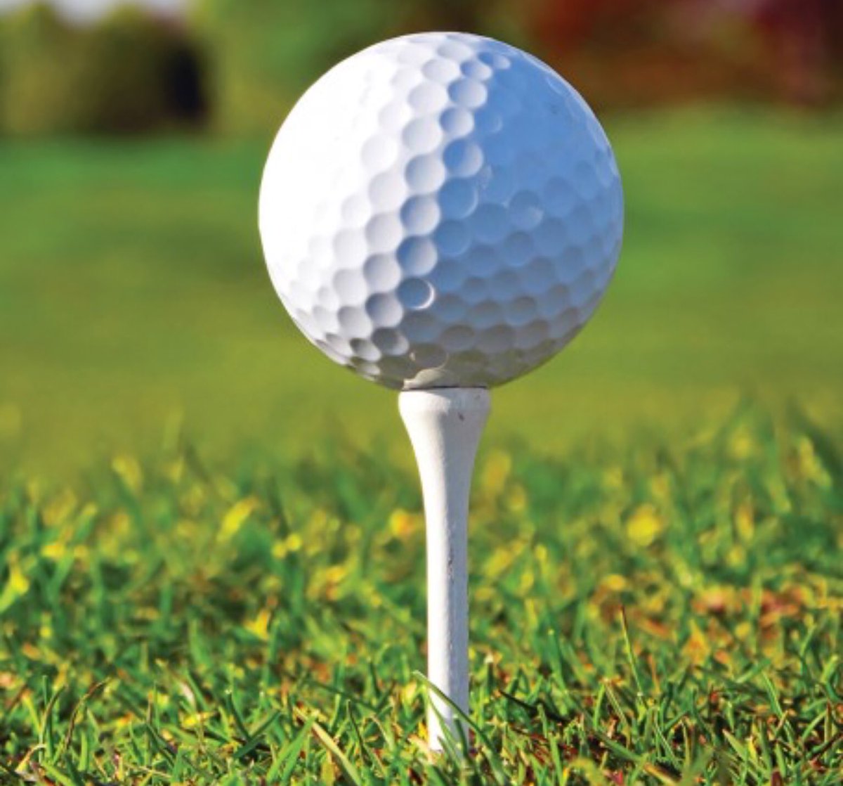 What’s your handicap? If it’s your glasses, have you considered occasional wear contact lenses?
See you on the fairway later today...