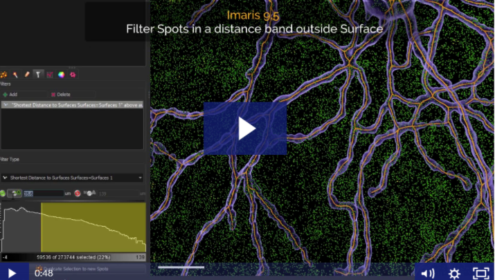 ImarisSoftware's tweet photo. Want to count objects in a specific band around another object?
Watch our NEW tutorial >> https://t.co/wmHbTGLcEx
#Imaris95 #ImarisLearning https://t.co/dU4dKbzZX1
