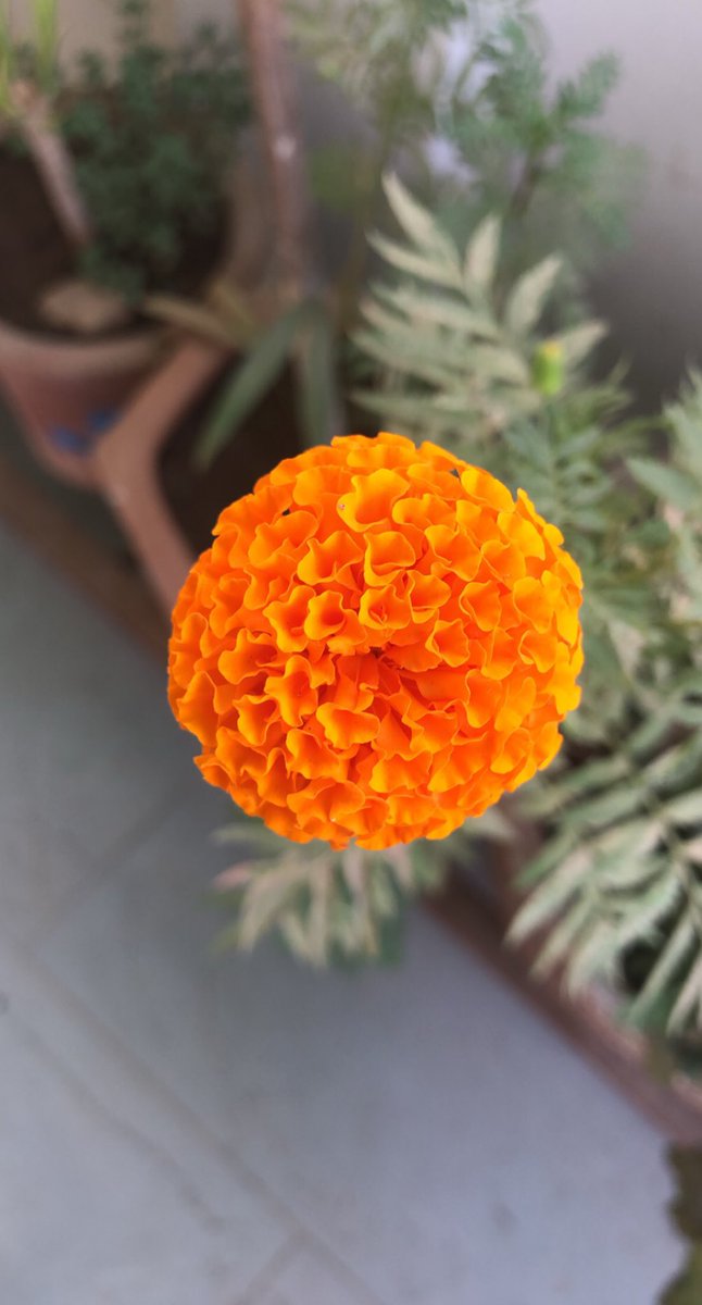 Does summer came for you people? <a href="/_melly_boo/">Melly</a> <a href="/Kimberhott/">🍁Kimberhot🍂</a> <a href="/Issabellaa04/">👑 Issabellaa 👑</a> <a href="/Claudia1Diamond/">clau</a> <a href="/LaraCara_/">Hi</a> @Lady1Eveline