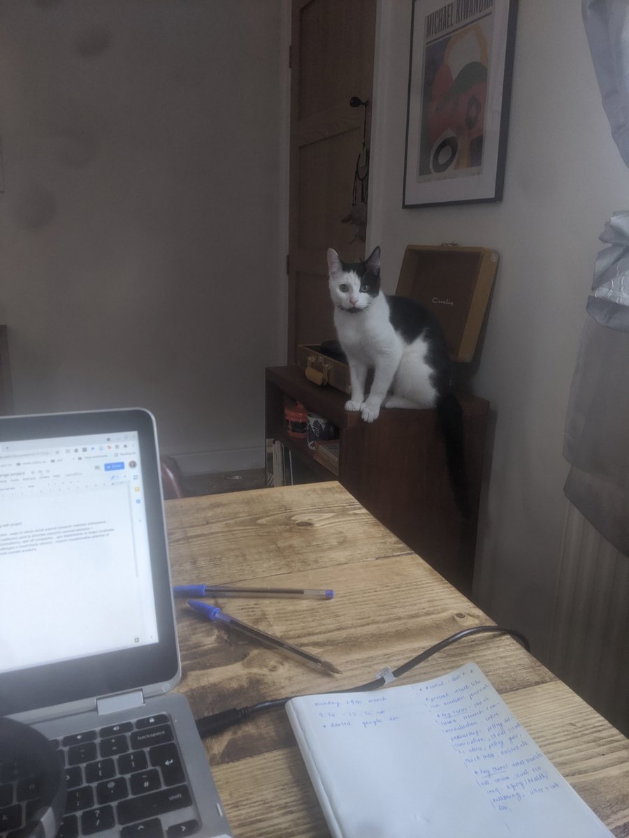 geoglaurane's tweet photo. attempting to start working on the research project but the demon cat has plans of his own for today (he hasn't stopped chatting since i woke up) https://t.co/Mr1HoYhfVK