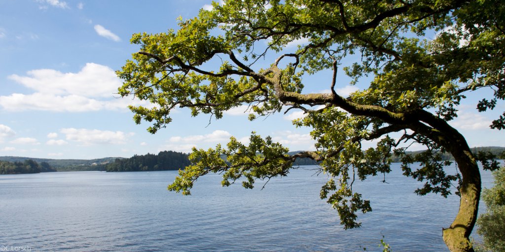 nievre_tourisme's tweet photo. Douce journée au bord du lac des #Settons https://t.co/3bEPWFIf6C