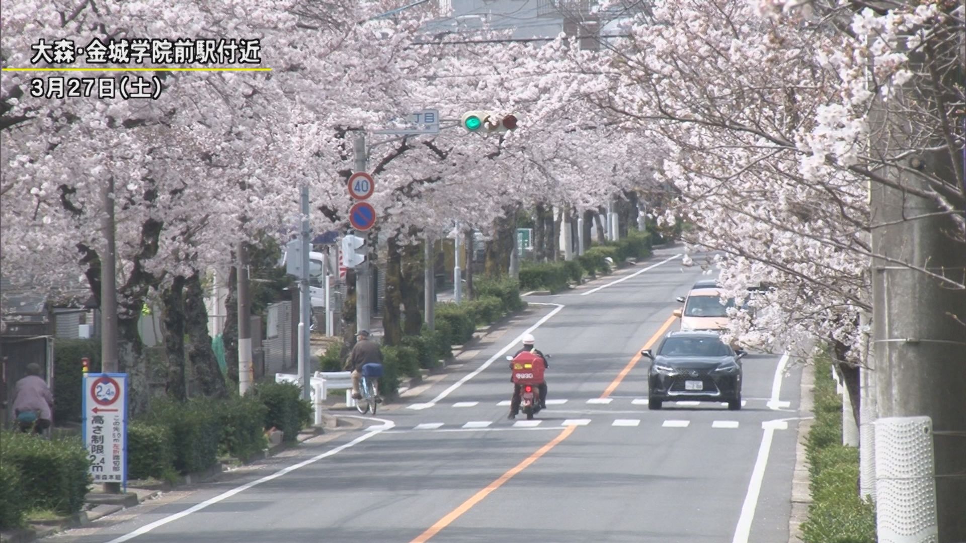 ジーアイビー Twitter Search Twitter