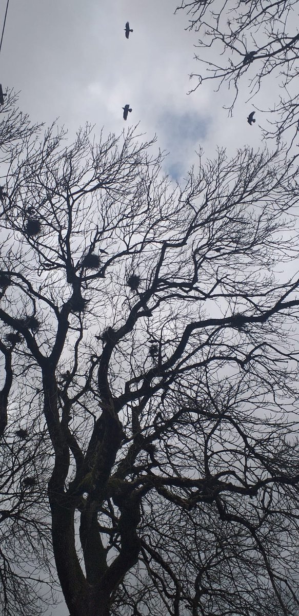 Bailieborough Creative Hub tweet media