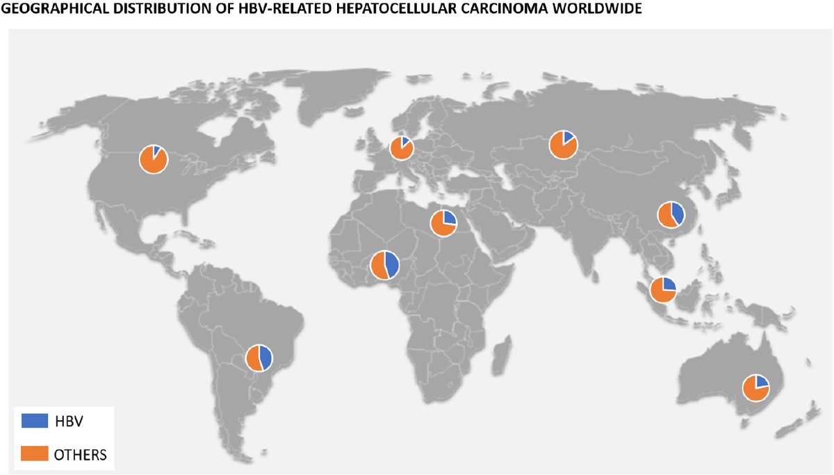 HepatomaRes's tweet photo. #HBV #surveillance #HCC #epidemiology A good review about "Hepatitis B-related hepatocellular carcinoma: surveillance strategy directed by immune-epidemiology" from Dr. @JoseDebesMD' team @CHIPO_HBV @HepBFoundation @EuropeLiver @ICE_HBV Free download: https://t.co/AO1K6hY3uC https://t.co/bT6wzw7r0t
