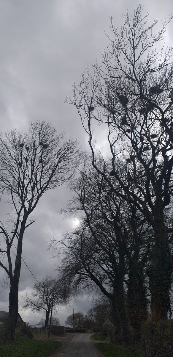 Bailieborough Creative Hub tweet media