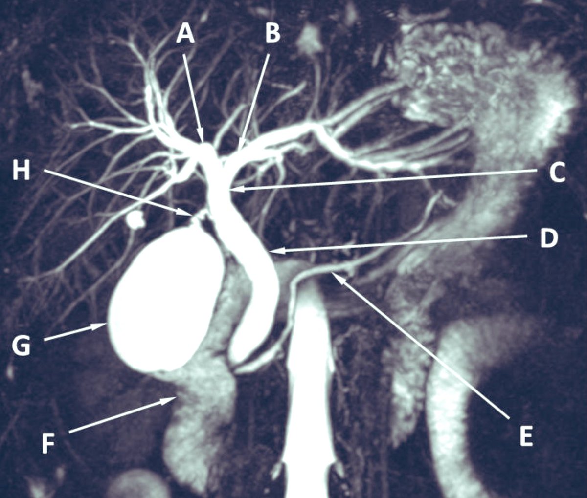Keith Siau tweet media