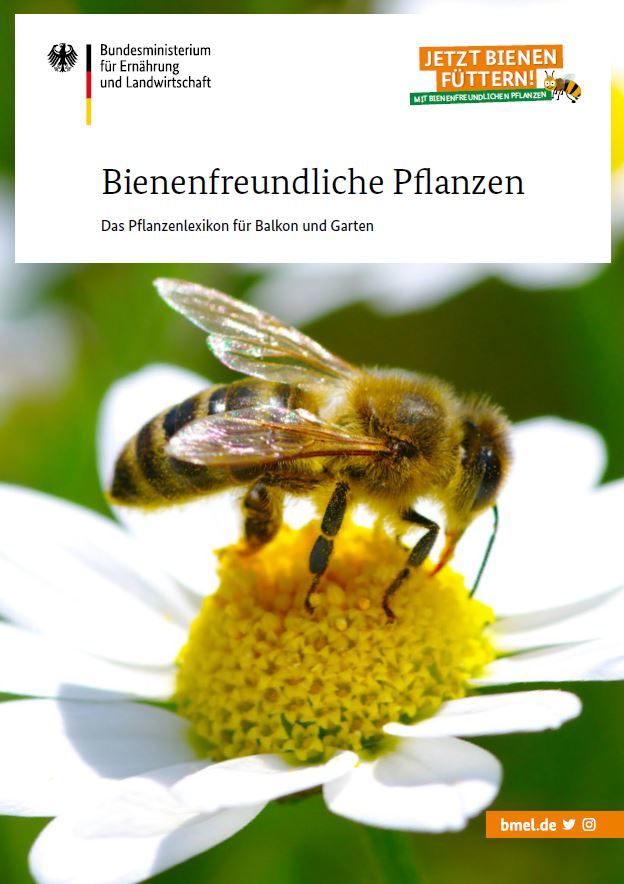 Jetzt #Bienen 🐝 füttern! 

Wie das geht? Mit bienenfreundlichen #Pflanzen 🌺 auf dem Balkon, der Terrasse oder im Garten! Welche Pflanzen #bienenfreundlich sind, erfahren Sie in unserem Pflanzenlexikon.

Download und kostenlose Bestellung ⇨ bmel.de/goto?id=7084