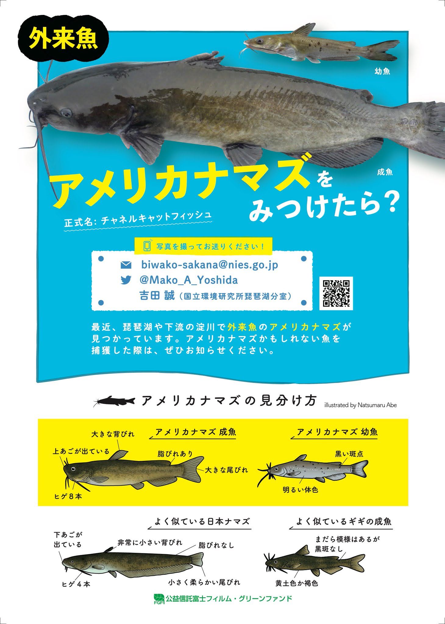 国立環境研究所琵琶湖分室 Twitter Search Twitter