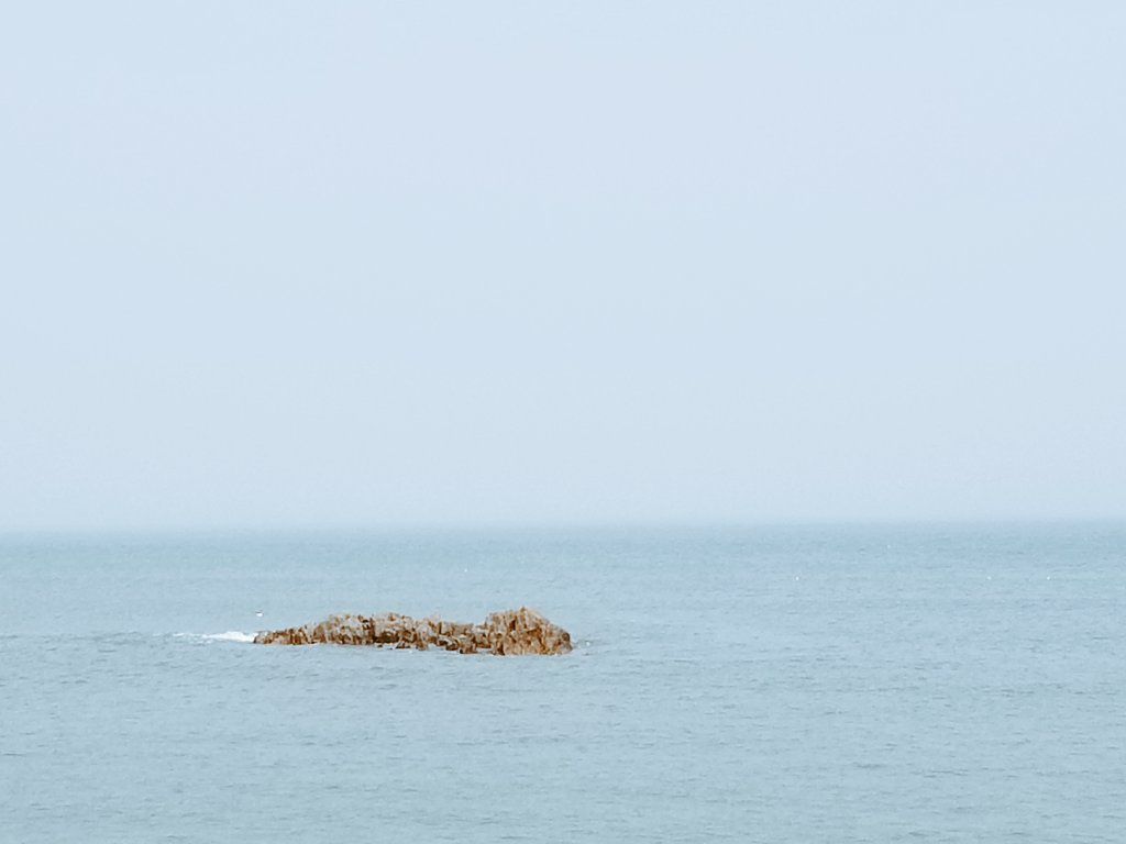 wellheel's tweet photo. 🌊 https://t.co/bmzxwMtkyQ