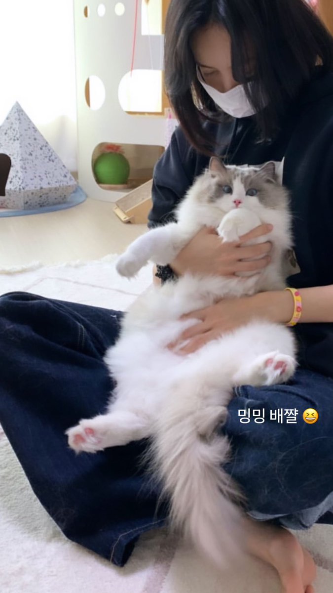 blackpinkbabo's tweet photo. [lalalalisa_m 210329 story update]

“MingMing’s belly fat 😆”
“Let’s go with grandma... 🥲”

#BLACKPINK #블랙핑크 #LISA #리사 #lisastagram @BLACKPINK https://t.co/LFSETT1t7G