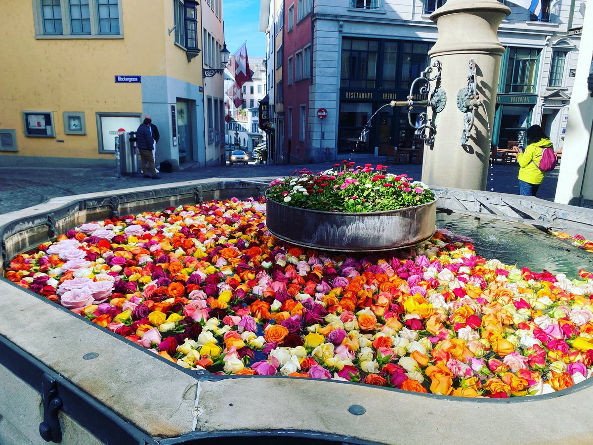 odileammann's tweet photo. Monday morning in the old town of Zurich 🌸 https://t.co/vfFrId1YW0