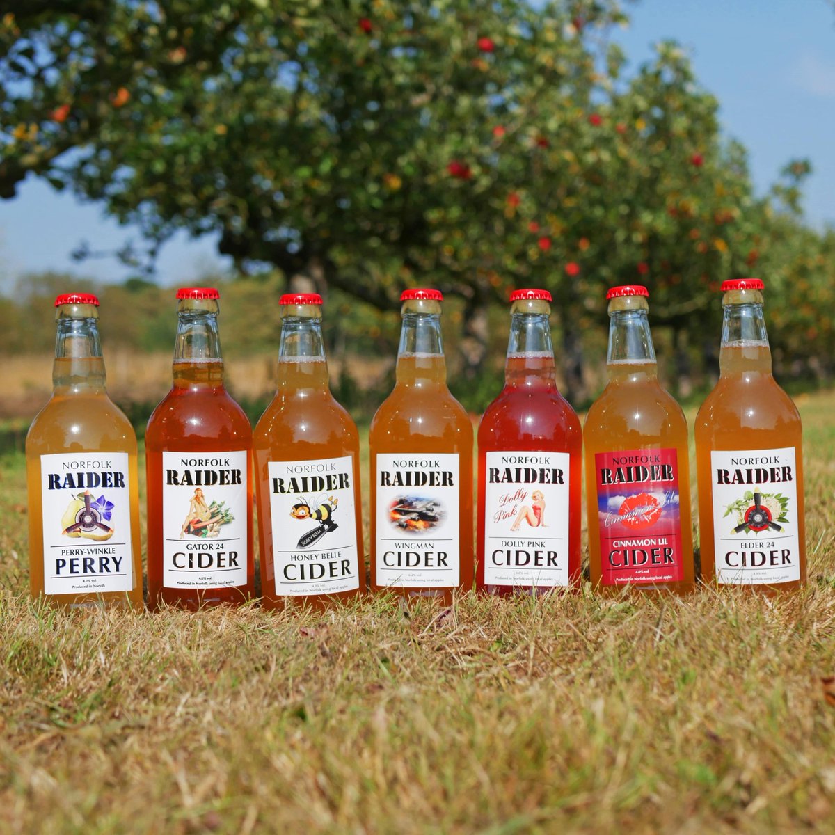 12 bottles, mix &amp; match flavours, only £40, plus free delivery. Doesn't get much better than that! 😃

Stock up for spring with your favourite flavours of our award winning cider. 🍻

norfolkraidercider.co.uk/.../mixed-box-…