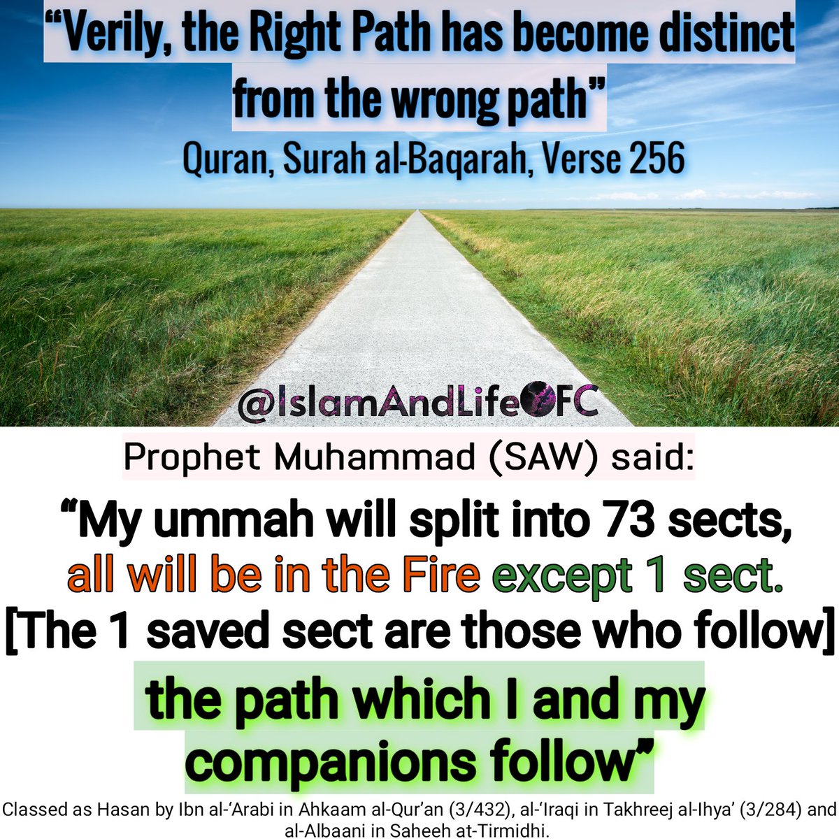 Dear #Shias, there is only ONE Islam:

The Prophet (SAW) said: “My ummah will split into 73 sects, all will be in the fire except 1 sect. [The 1 saved sect are those who follow] the path which I and my Companions follow” [Tirmidhi, Hasan]. #islam #shia #rafida #hezbollah #houthis