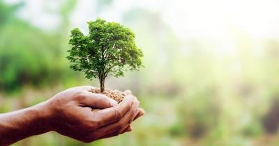 aydiahmad10's tweet photo. إن زراعة الأشجار الصغيرة، تجعلنا نعود أكثر إلى الطبيعة. #IHaveTree #PlantFuture @TheatreDay https://t.co/Hjtgci7BJb