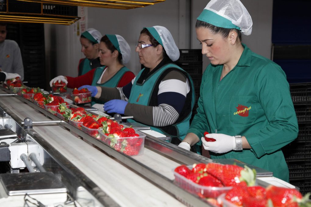 mujeragro's tweet photo. #MUJERAGRO 👩‍🌾👩‍🌾

@onubafruit empresa líder en la producción y comercialización de #frutos #rojos en Europa, patrocina una edición más los III Premios #PremiosMujerAGRO, cuyo acto de entrega tendrá lugar el próximo día 13 de abril en @mercamadrid_hoy https://t.co/pTasLd2l1S