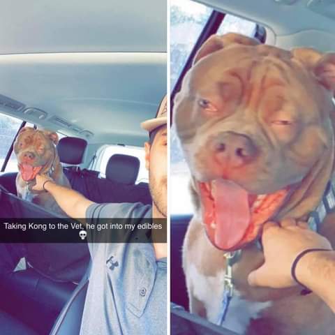 uglyboy_OJ tweet media