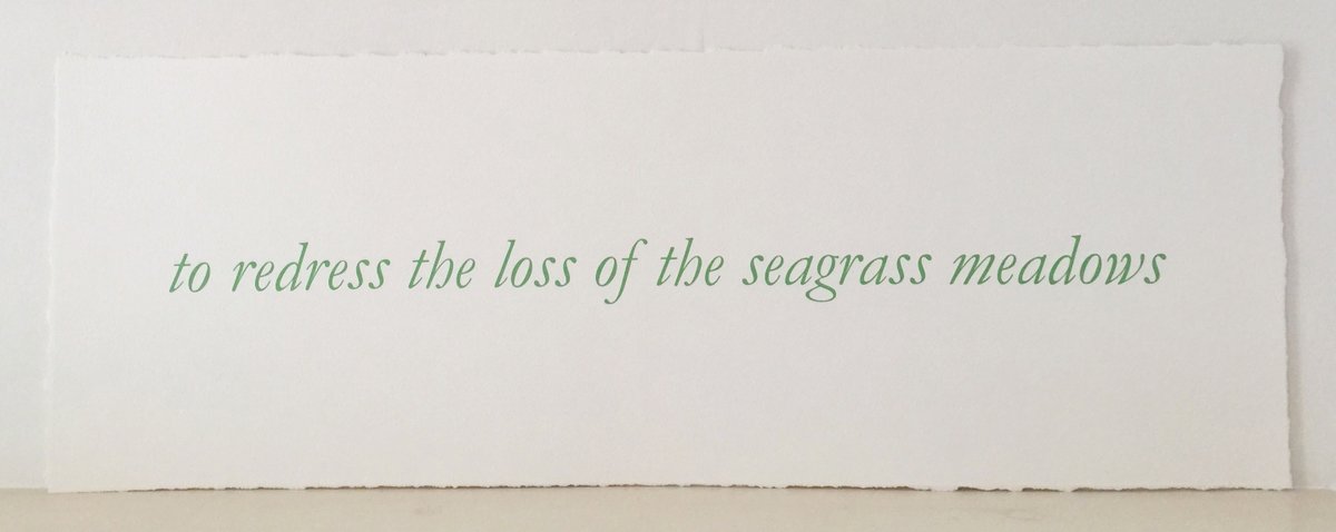 Delighted to introduce a new artist print series - the first print is by #ThomasAClark, created in #seagrassawarenessmonth - 20% of selling price will go to <a href="/ProjectSeagrass/">Project Seagrass</a> #seagrass Find out more at juliejohnstone.com/print-series/