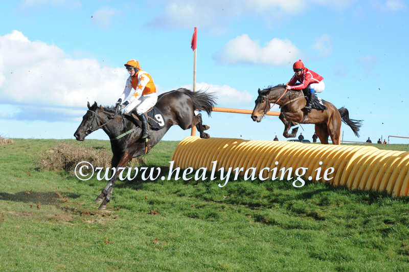 patcashhealy's tweet photo. #FromTheArchives #10years 
Lingstown PTP   March 2011
"Jills Oscar" and @motherwayc (double on card) win for owner Jerry Murphy and trainer Peter Murphy. 
(c)https://t.co/voWGTccgic https://t.co/E3QOnQbVgl