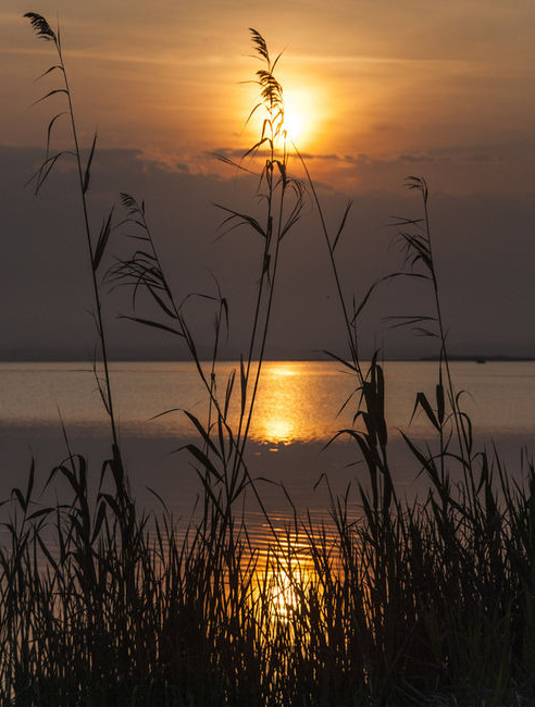 Lady Jane tweet media