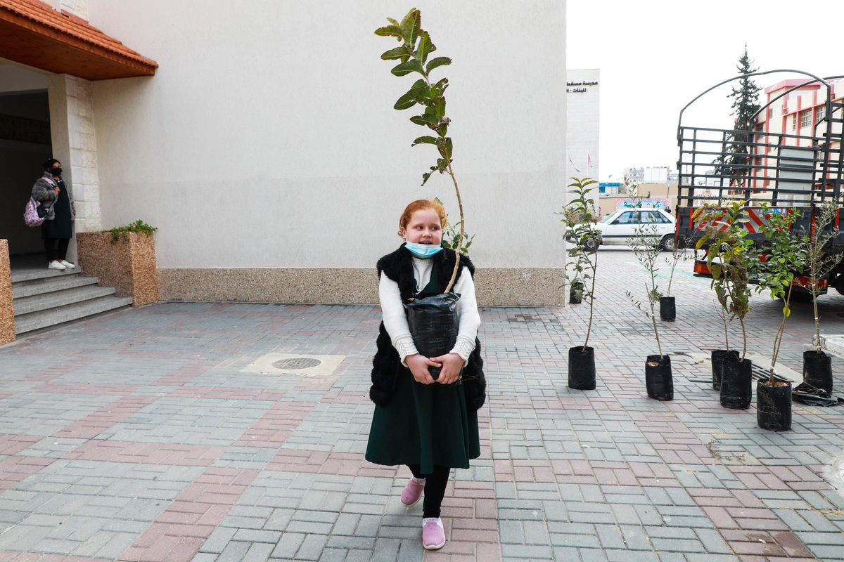 Tania_Raid's tweet photo. In Gaza, water is scarce, polluted and mostly unfit to use. Young Palestinians grow trees to save water. #IHaveTree #PlantFuture https://t.co/Aj6aIPNPjP