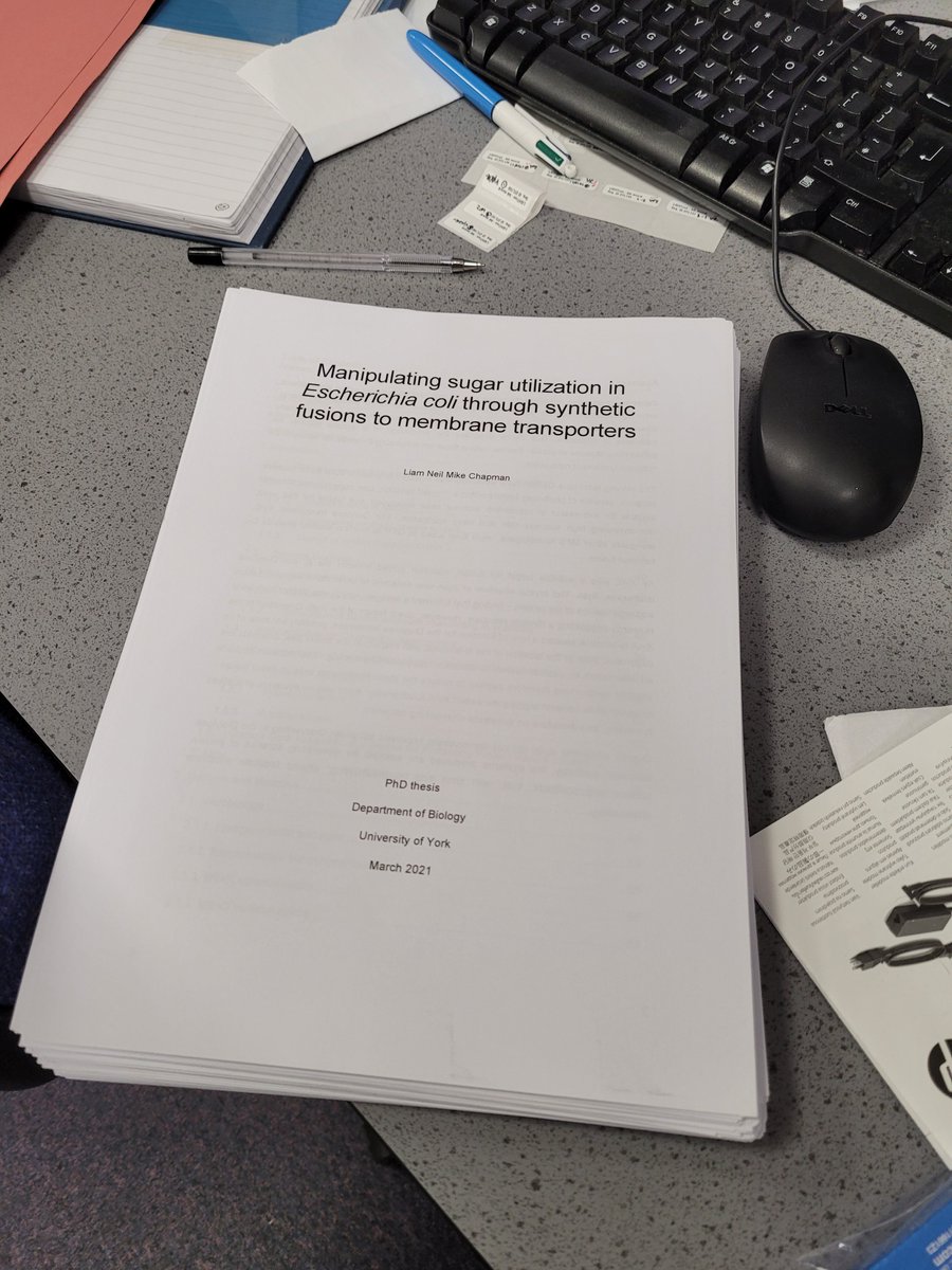 Liam Chapman tweet media