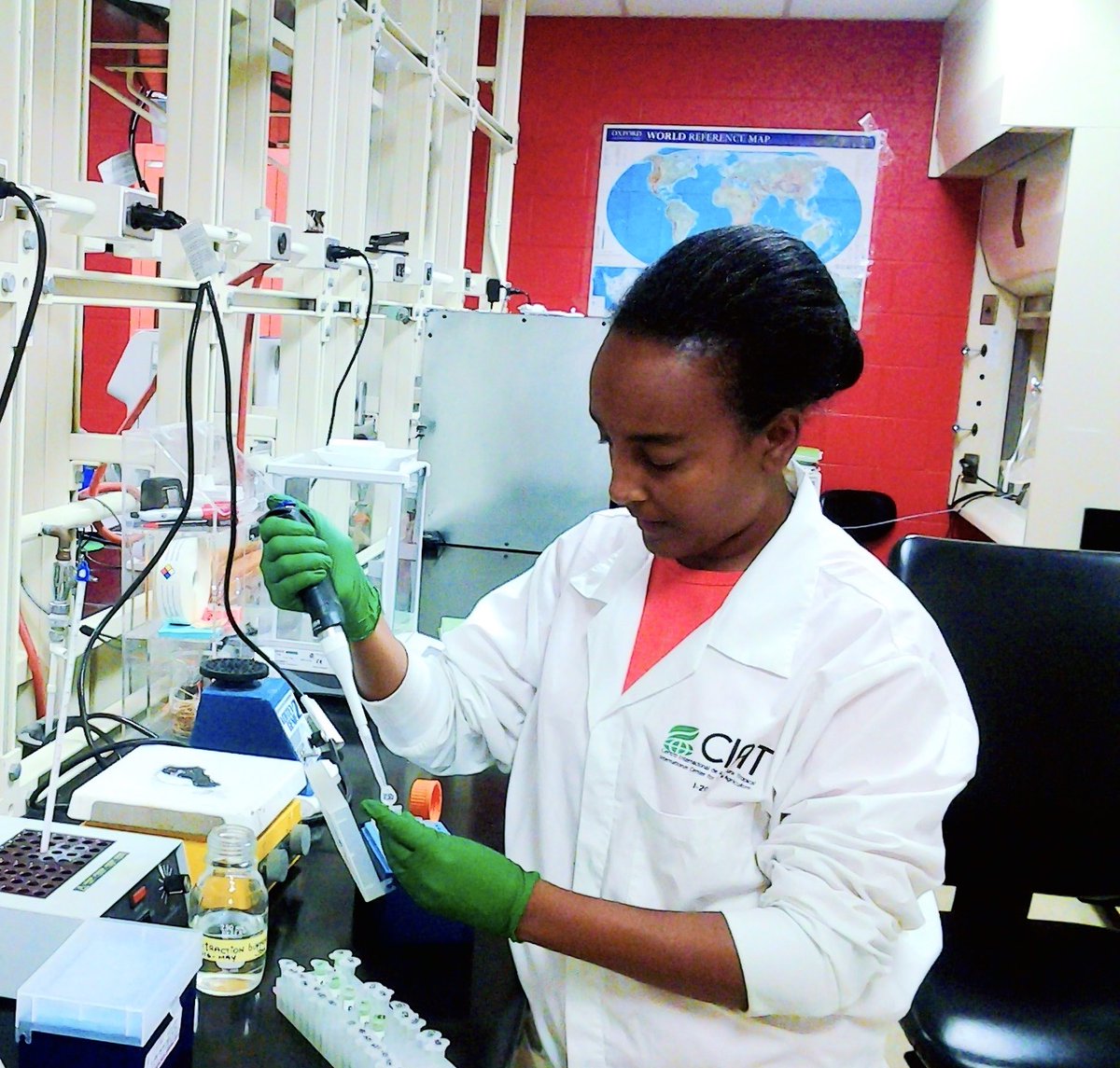 Congratulations Tigist G. Shiferaw for her article published in Australian Journal of Crop Science, examining participatory variety selection of common bean (Phaseolus vulgaris L.) genotypes in bean-producing areas of Ethiopia. 
bit.ly/2O51Kv2