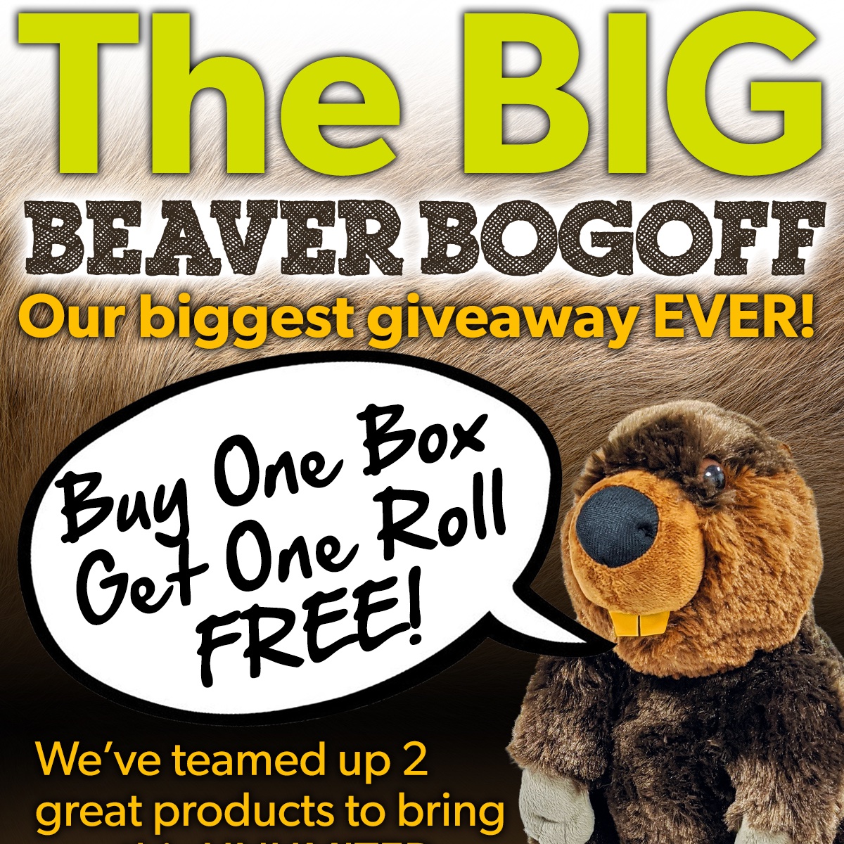 Beaverscrews tweet media