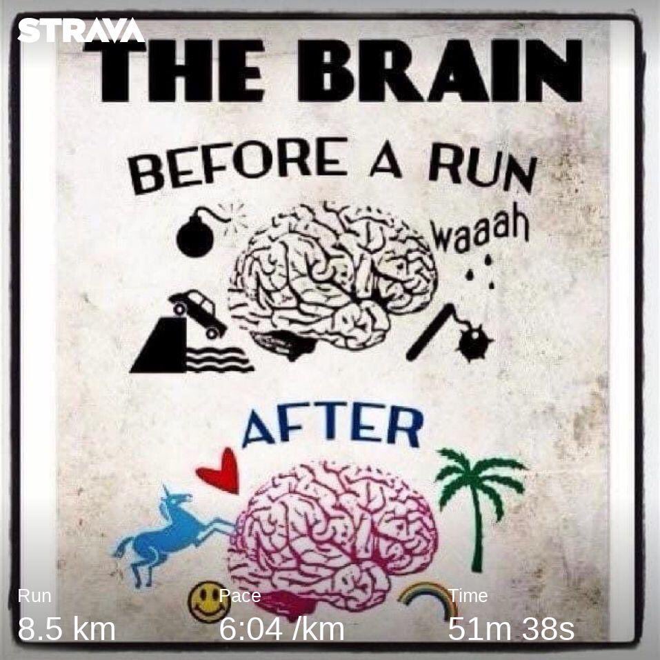 dragos_tode's tweet image. #onlygoodvibes✌🏻
#nike #infinityreact
#running #Enthusiast🧠