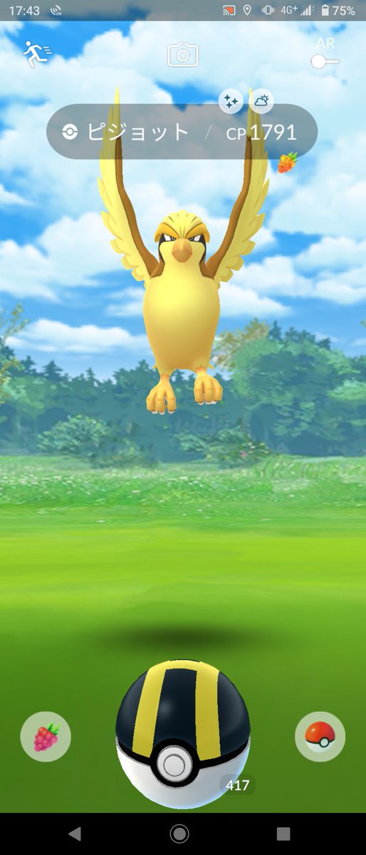 ポケモンgo ポッポの色違い 入手方法と実装状況 攻略大百科