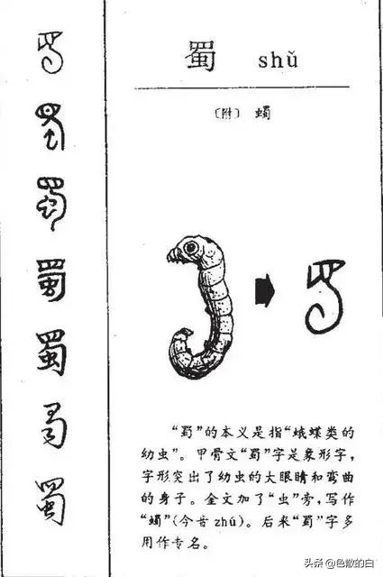 蜀って虫だったって知ってた? 