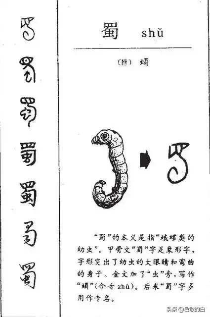 蜀って虫だったって知ってた? 