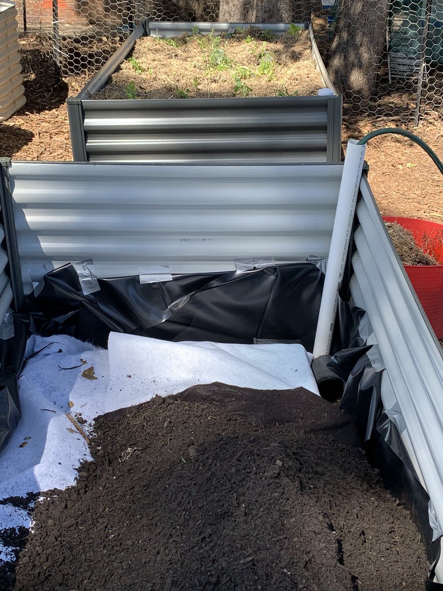 Dawe4Peter's tweet photo. Earlier in the term we assisted #HeckenbergPS with their goanna shaped #Indigenous garden and today we set up some #wickingbeds - the community will set up two more &amp; I’ll return when both wicking and #bushtucker gardens provide the ingredients for a good feed 😁🌱 https://t.co/HRWC3UUp6r