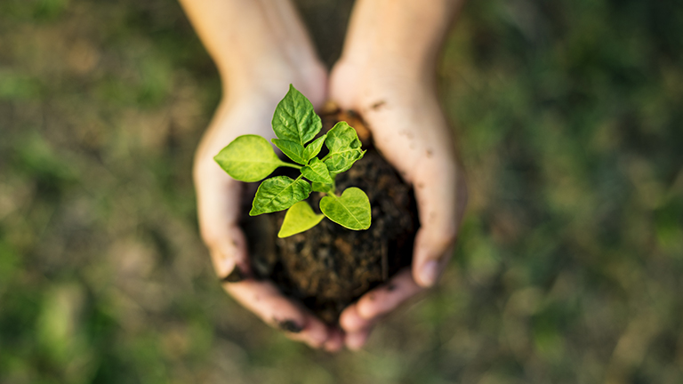 UK's first School of Sustainable Food and Farming set to be created at Harper Adams, in partnership with <a href="/RAFTsolutions/">RAFT Solutions Ltd</a> and supported by <a href="/Morrisons/">Morrisons</a>  harper.ac.uk/djha

#Degreesthatmatter #sustainablefarming #ukfarming #netzero