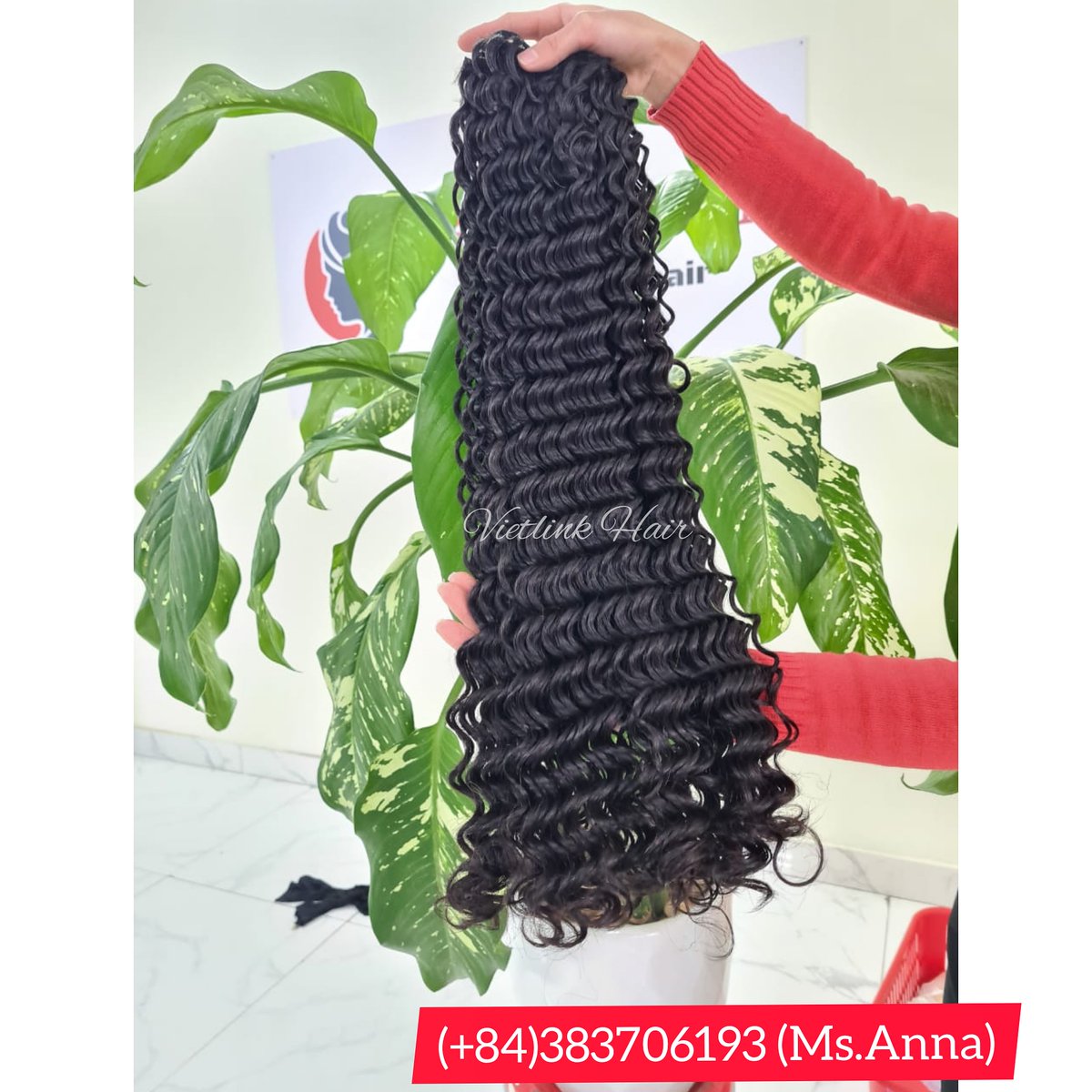 VietlinkAnna's tweet photo. 📞 Contact me via Whatsapp: +84 38 370 6193 (Ms.Anna) 

 #lagosfashion #lagoshairseller #lagoshair #lagoshairstylist #nigerianhairstyles #nigeriahair #nigeriahairstyles #nigeriahair #doubledrown #singledrawnhair #superdoubledrawn #springcurl https://t.co/Nz3VMSrhrw