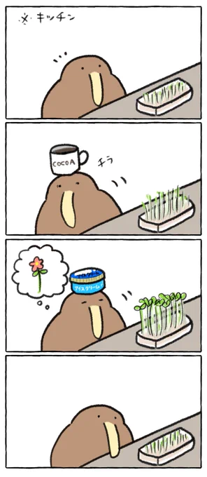 豆苗の成長を密かに見守っていたキーウィ 