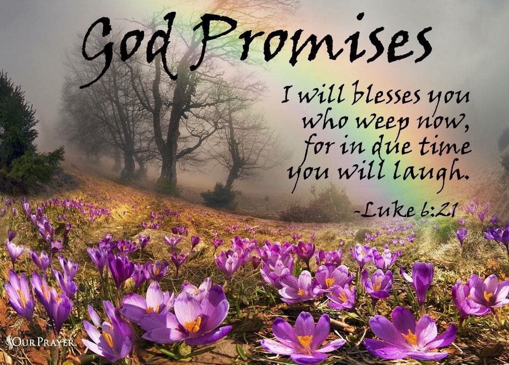 Luke 6:20-38  

The Beatitudes ♥️

And turning His gaze toward His disciples, He began to say, “Blessed are you who are poor, for yours is the kingdom of God. Blessed are you who hunger now, for you shall be satisfied. Blessed are you who weep now, for you shall laugh.