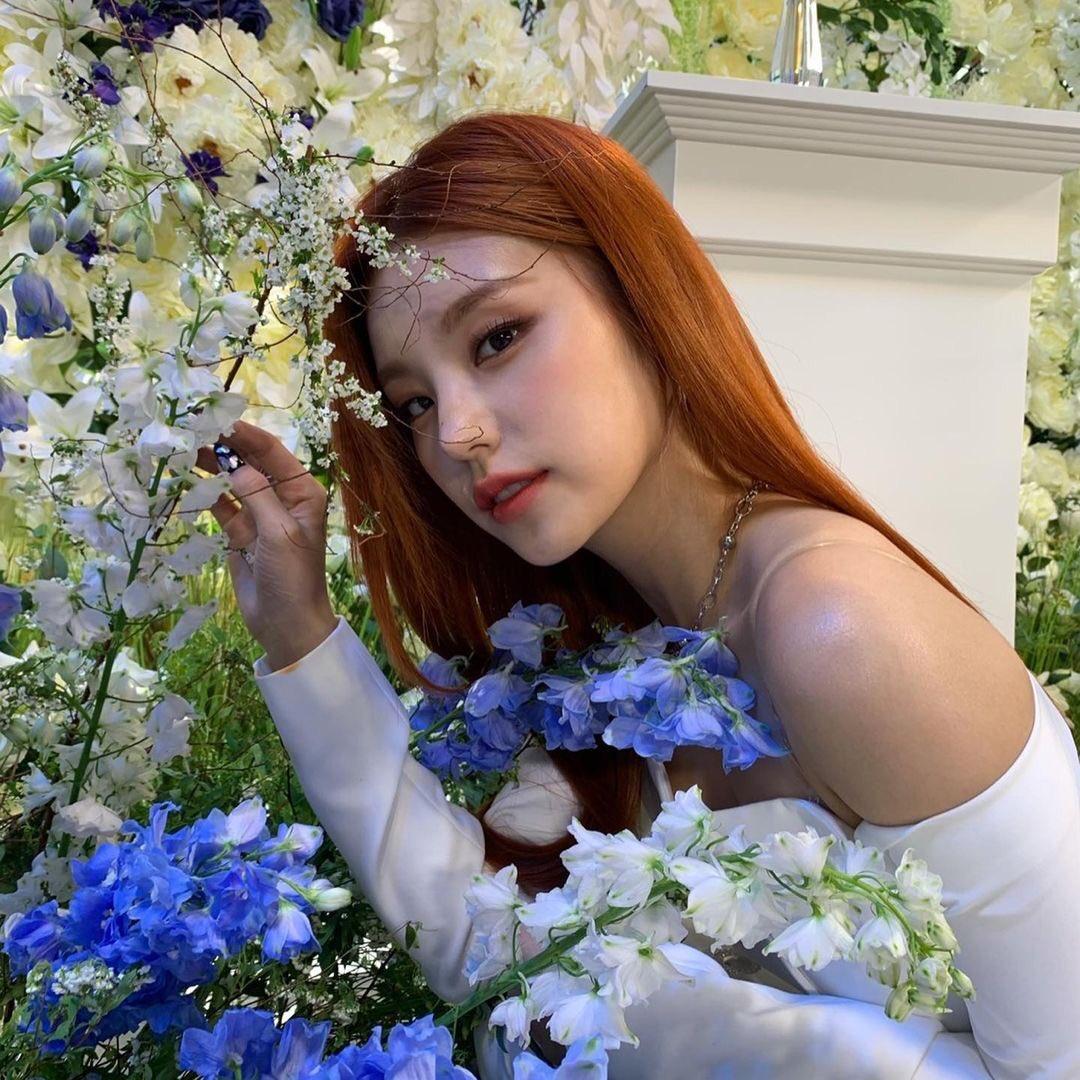 acyyyann's tweet photo. Flower muna kayo dyan https://t.co/SVe0928z7F